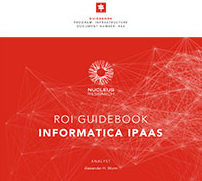 ROI Guidebook DE