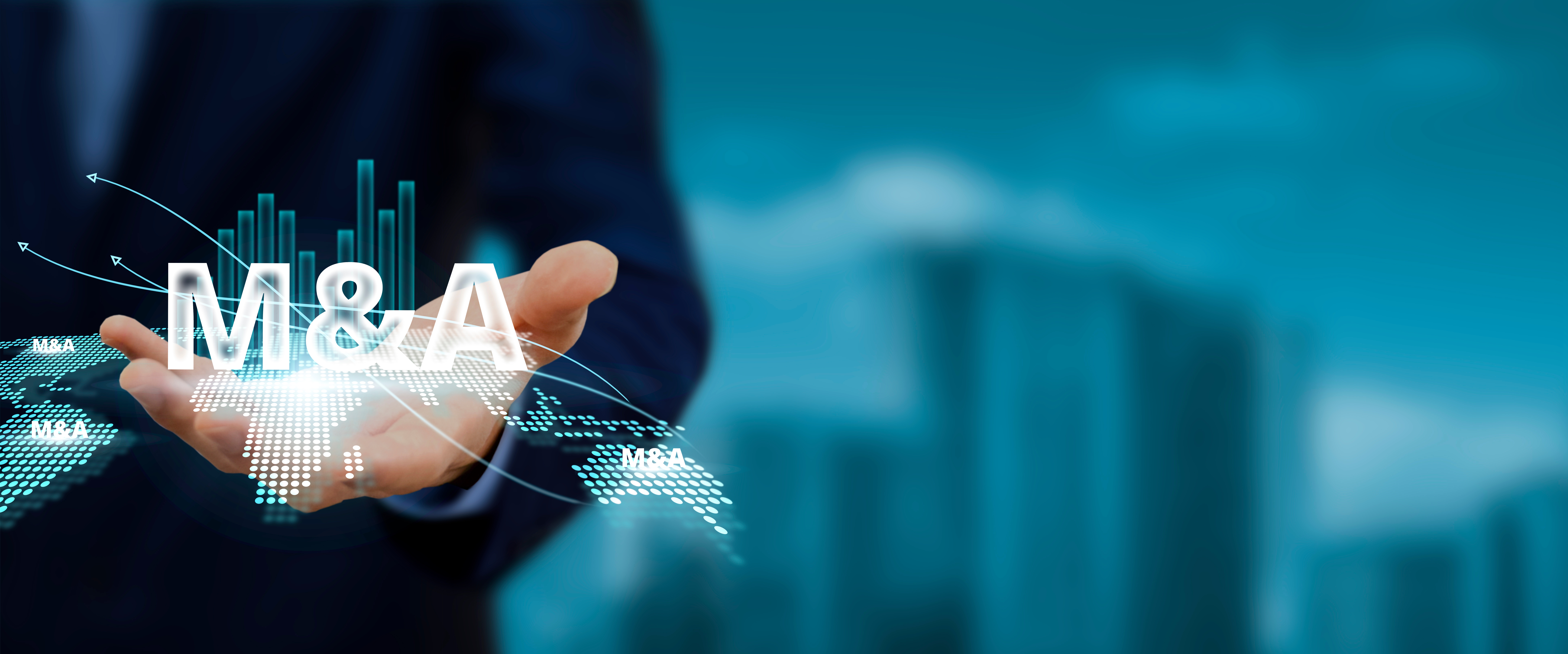 2024 Technology-Services M&A: Scale Over Sustainability?